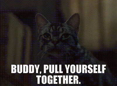 A Picture Of A Cat With The Words " Buddy Pull Yourself Together " Above It GIF