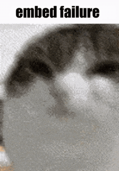 A Picture Of A Cat With The Words Embedded Failure Below It GIF
