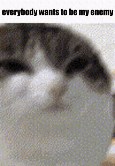 A Picture Of A Cat With The Words Everybody Wants To Be My Enemy GIF
