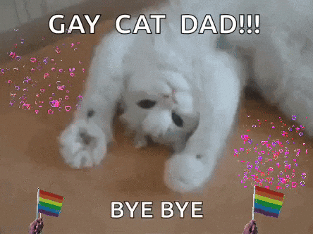 A Picture Of A Cat With The Words Gay Cat Dad Bye Bye Written On It GIF