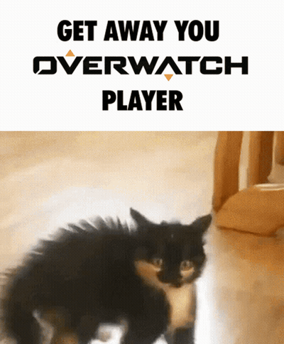 a picture of a cat with the words " get away you overwatch player " above it