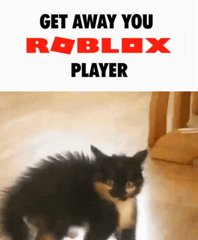 A Picture Of A Cat With The Words " Get Away You Roblox Player " GIF