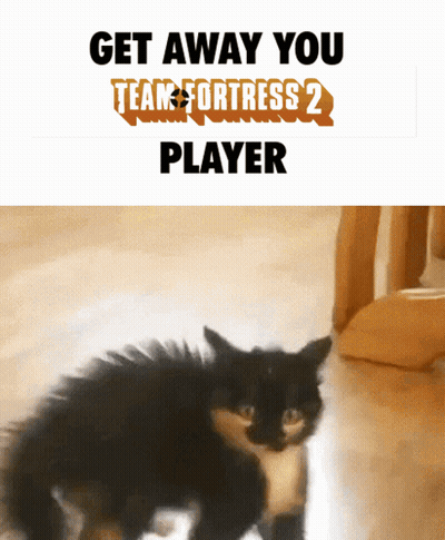 A Picture Of A Cat With The Words Get Away You Team Fortress 2 Player Below It GIF