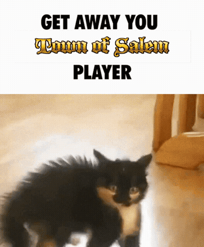 A Picture Of A Cat With The Words " Get Away You Town Of Salem Player " GIF