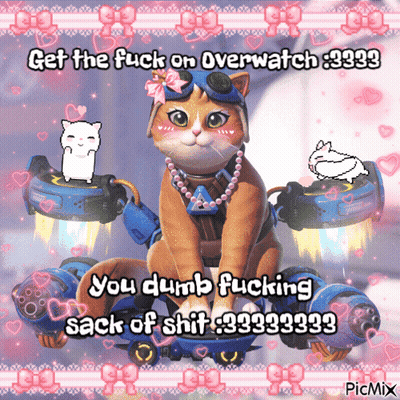A Picture Of A Cat With The Words Get The Fuck On Overwatch 9999 GIF