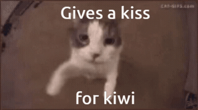 A Picture Of A Cat With The Words Gives A Kiss For Kiwi On It GIF
