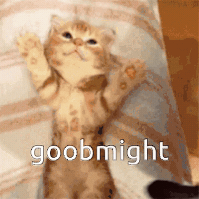 A Picture Of A Cat With The Words Goobnight On The Bottom GIF