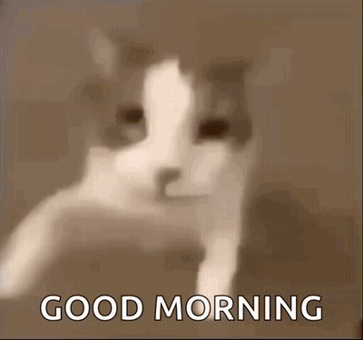 A Picture Of A Cat With The Words " Good Morning " On The Bottom GIF