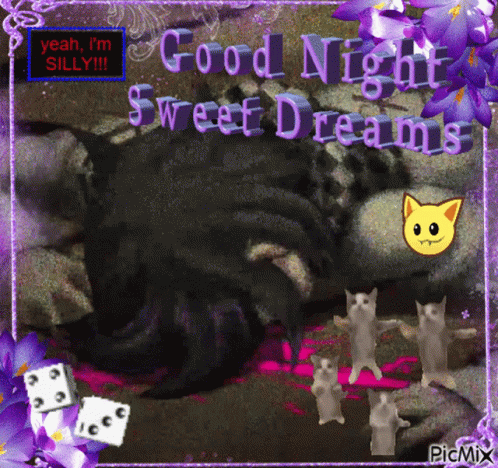 A Picture Of A Cat With The Words " Good Night Sweet Dreams " On It GIF