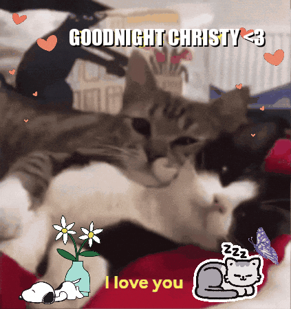 A Picture Of A Cat With The Words Goodnight Christy < 3 GIF