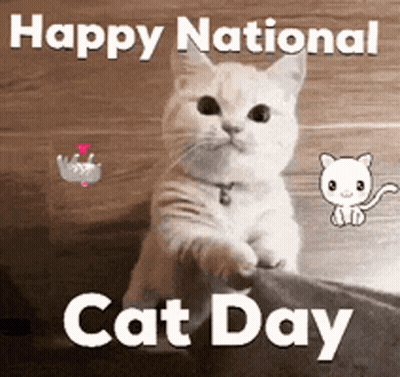 A Picture Of A Cat With The Words Happy National Cat Day On It GIF