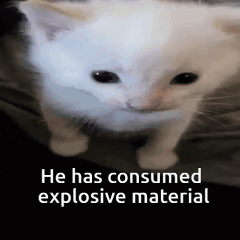 A Picture Of A Cat With The Words He Has Consumed Explosive Material GIF