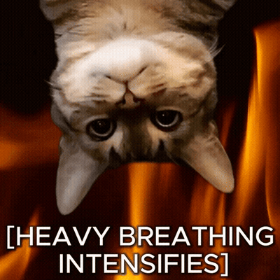 A Picture Of A Cat With The Words Heavy Breathing Intensifies Written Below It GIF