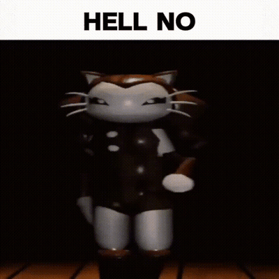 A Picture Of A Cat With The Words Hell No Written On It GIF
