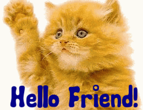 A Picture Of A Cat With The Words Hello Friend Written On It GIF