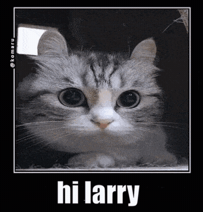 A Picture Of A Cat With The Words Hi Larry Above It GIF