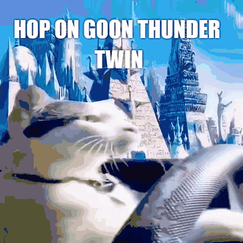 A Picture Of A Cat With The Words Hop On Goon Thunder Twin Below It GIF