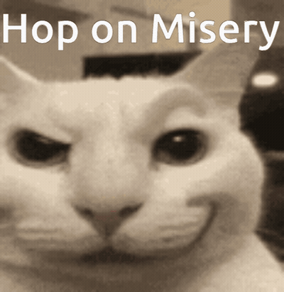 A Picture Of A Cat With The Words Hop On Misery Written Above It GIF