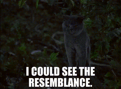 A Picture Of A Cat With The Words I Could See The Resemblance GIF
