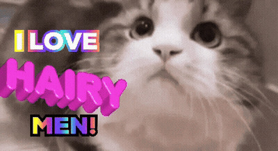 A Picture Of A Cat With The Words I Love Hairy Men Above It GIF