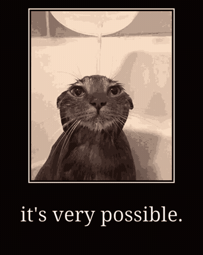 A Picture Of A Cat With The Words " It 'S Very Possible " Underneath It GIF