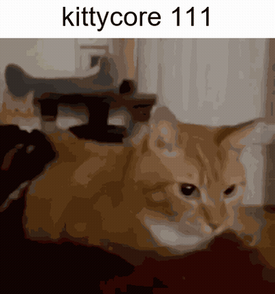 A Picture Of A Cat With The Words Kittycore 111 On The Bottom GIF