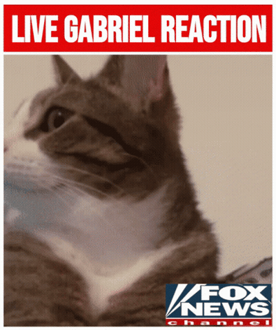 A Picture Of A Cat With The Words Live Gabriel Reaction Above It GIF