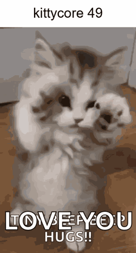 A Picture Of A Cat With The Words Love You Hugs On It GIF