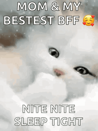 A Picture Of A Cat With The Words Mom & My Bestest Bff Nite Nite Sleep Tight GIF