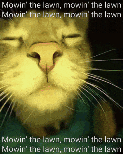 A Picture Of A Cat With The Words Mowin ' The Lawn Written Below It GIF