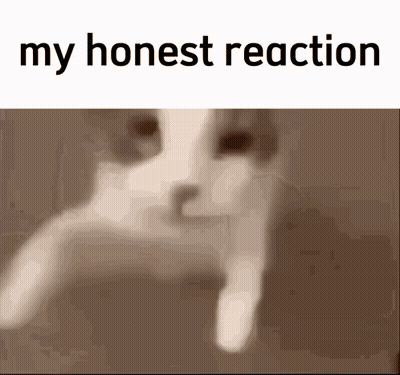 A Picture Of A Cat With The Words " My Honest Reaction " On The Bottom GIF