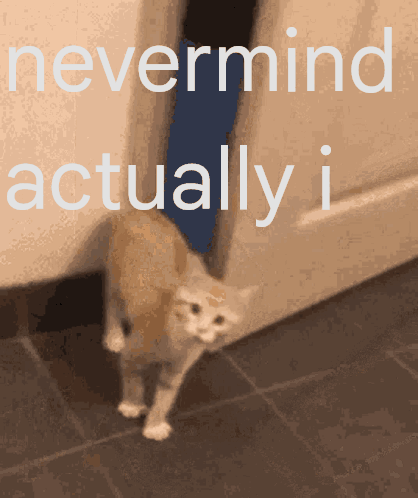 A Picture Of A Cat With The Words " Nevermind Actually I " Behind It GIF