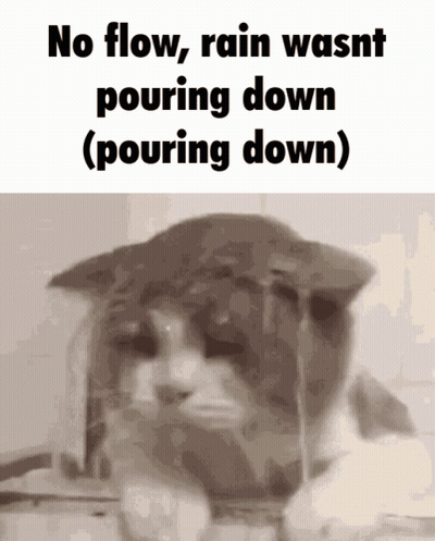 A Picture Of A Cat With The Words No Flow Rain Wasnt Pouring Down ( Pouring Down ) GIF