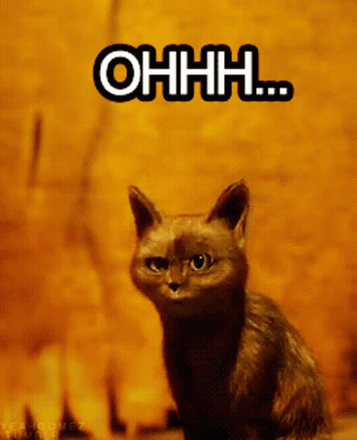 A Picture Of A Cat With The Words Ohhh Written On It GIF