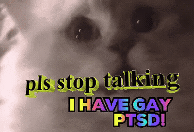 A Picture Of A Cat With The Words Pls Stop Talking I Have Gay Ptsd On It GIF