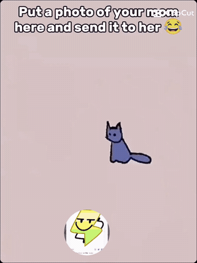 A Picture Of A Cat With The Words Put A Photo Of Your Mom Here And Send It To Her On The Bottom GIF