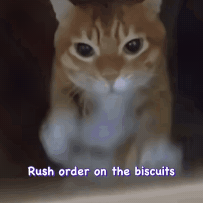 A Picture Of A Cat With The Words Rush Order On The Biscuits Above It GIF
