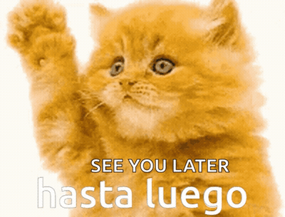 A Picture Of A Cat With The Words See You Later Hasta Luego GIF
