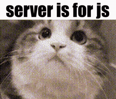 A Picture Of A Cat With The Words Server Is For Js Below It GIF