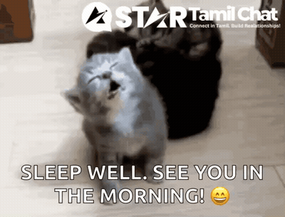 A Picture Of A Cat With The Words Sleep Well See You In The Morning On The Bottom GIF