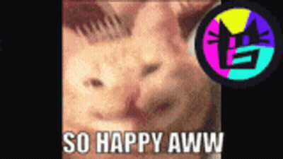 A Picture Of A Cat With The Words So Happy Aww Below It GIF