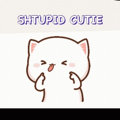 A Picture Of A Cat With The Words Stupid Cutie Written Above It GIF