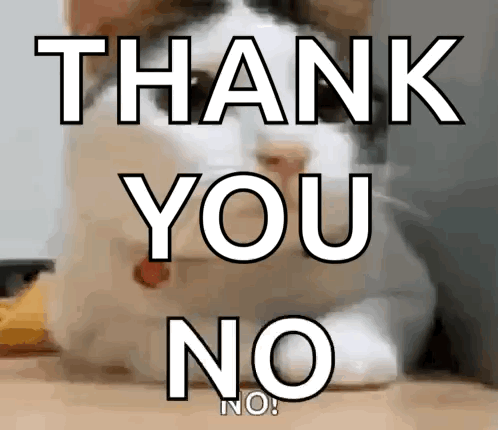 A Picture Of A Cat With The Words Thank You No Behind It GIF
