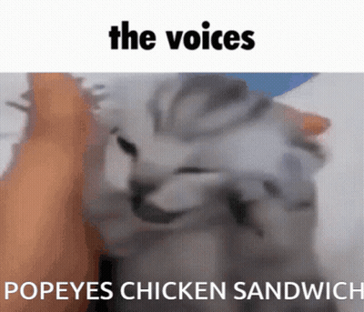 A Picture Of A Cat With The Words " The Voices Popeyes Chicken Sandwich " Above It GIF