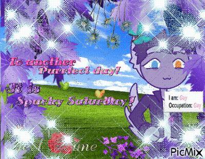 A Picture Of A Cat With The Words To Another Purrfect Day Written On It GIF