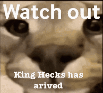 A Picture Of A Cat With The Words Watch Out King Hecks Has Arrived On It GIF