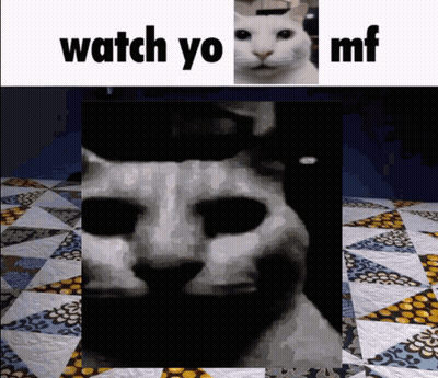 A Picture Of A Cat With The Words " Watch Yo Mf " Above It GIF