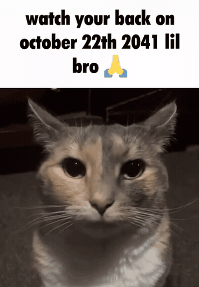 A Picture Of A Cat With The Words Watch Your Back On October 22Th 2041 Lil Bro Below It GIF