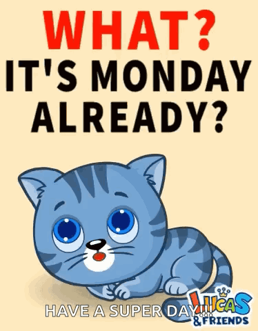 A Picture Of A Cat With The Words What ? It 'S Monday Already ? GIF