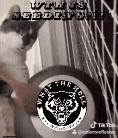 A Picture Of A Cat With The Words " What The Hell Wolves Of War " GIF